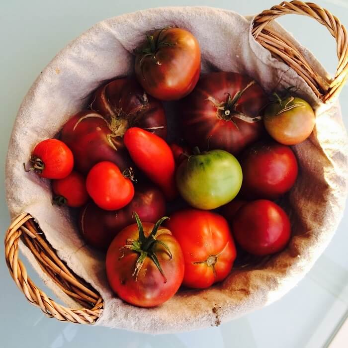 Vives les bonnes tomates